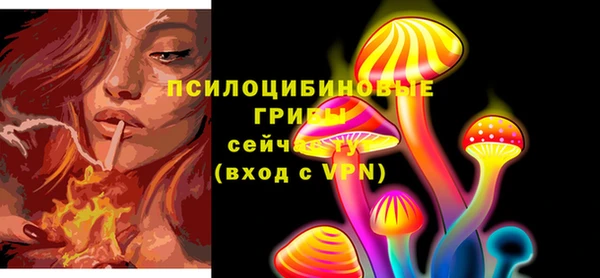 первитин Алексеевка