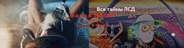 2c-b Алзамай